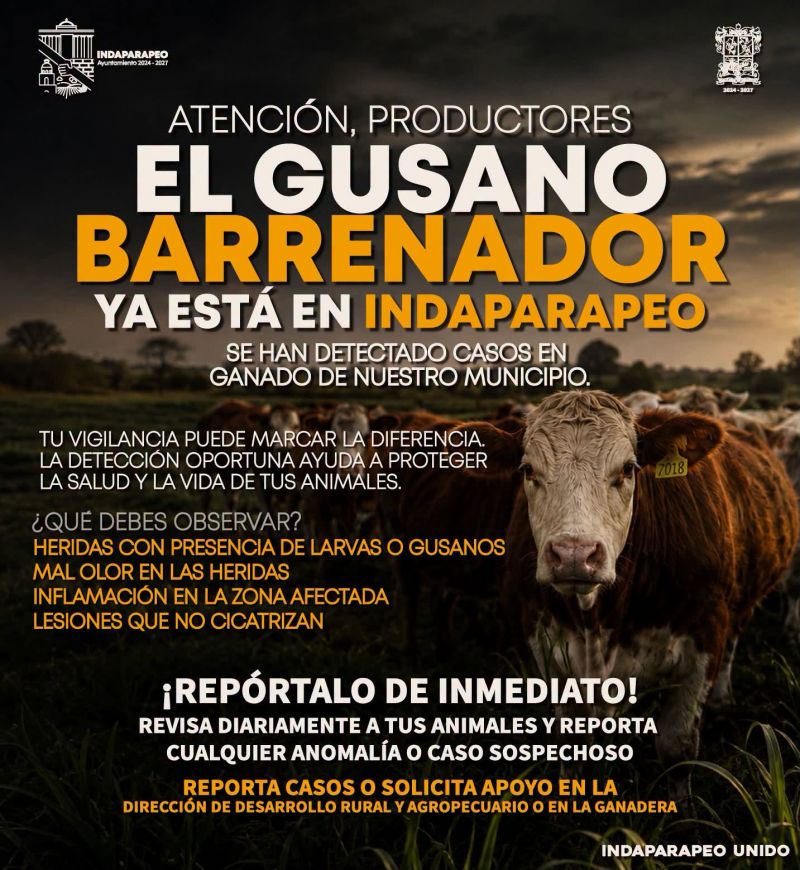 Se han detectado casos de gusano barrenador en ganado de nuestro municipio.
